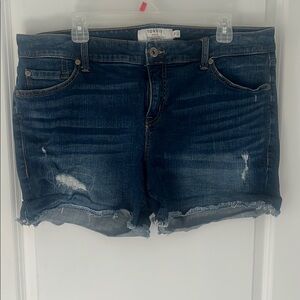 Torrid Women's Blue Denim Shorts